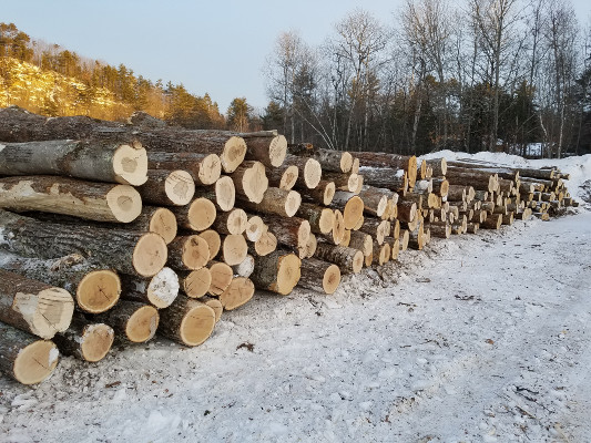 Hardwood Log Specifications